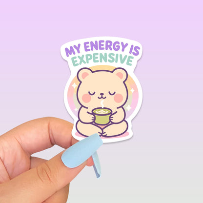 Cute Kawaii Bear Vinyl Sticker, My Energy Is Expensive Decal, Self Care Mental Health, Introvert Boundaries, Planner Journal Gift - Paige Poutine